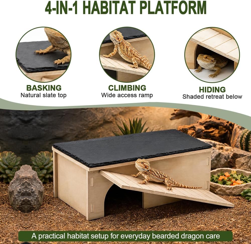 Bearded Dragon Basking Platform with Slate Rock (12.99 * 7.09 * 4.72in)
