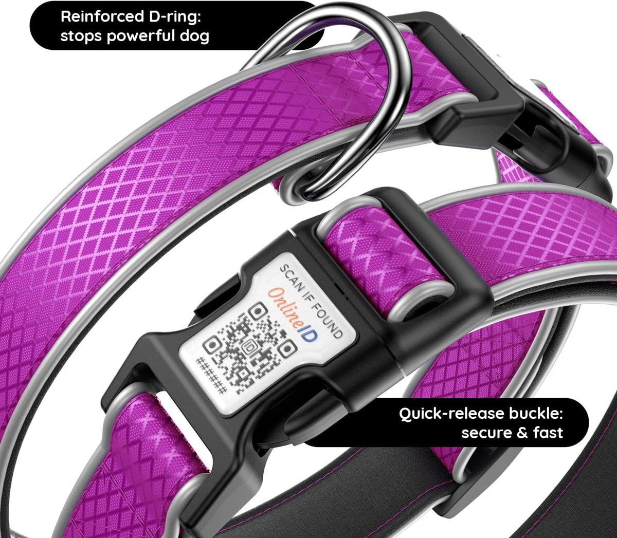 Personalized Dog Collar with QR Code Dog Tag, Purple,
