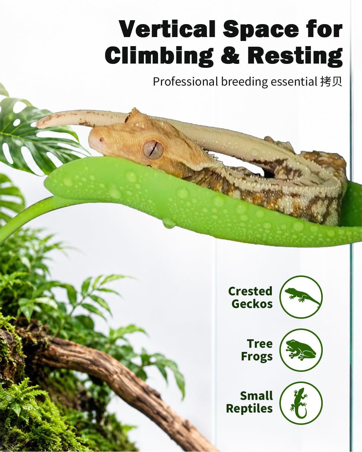 Crested Gecko Tank Accessories, 3PCS Reptile Leaf Hide Platform with Strong Suction Cups, Climbing & Resting Habitat Decor for Crested Geckos, Tree Frogs, Lizards and Small Reptiles (Dark Green)