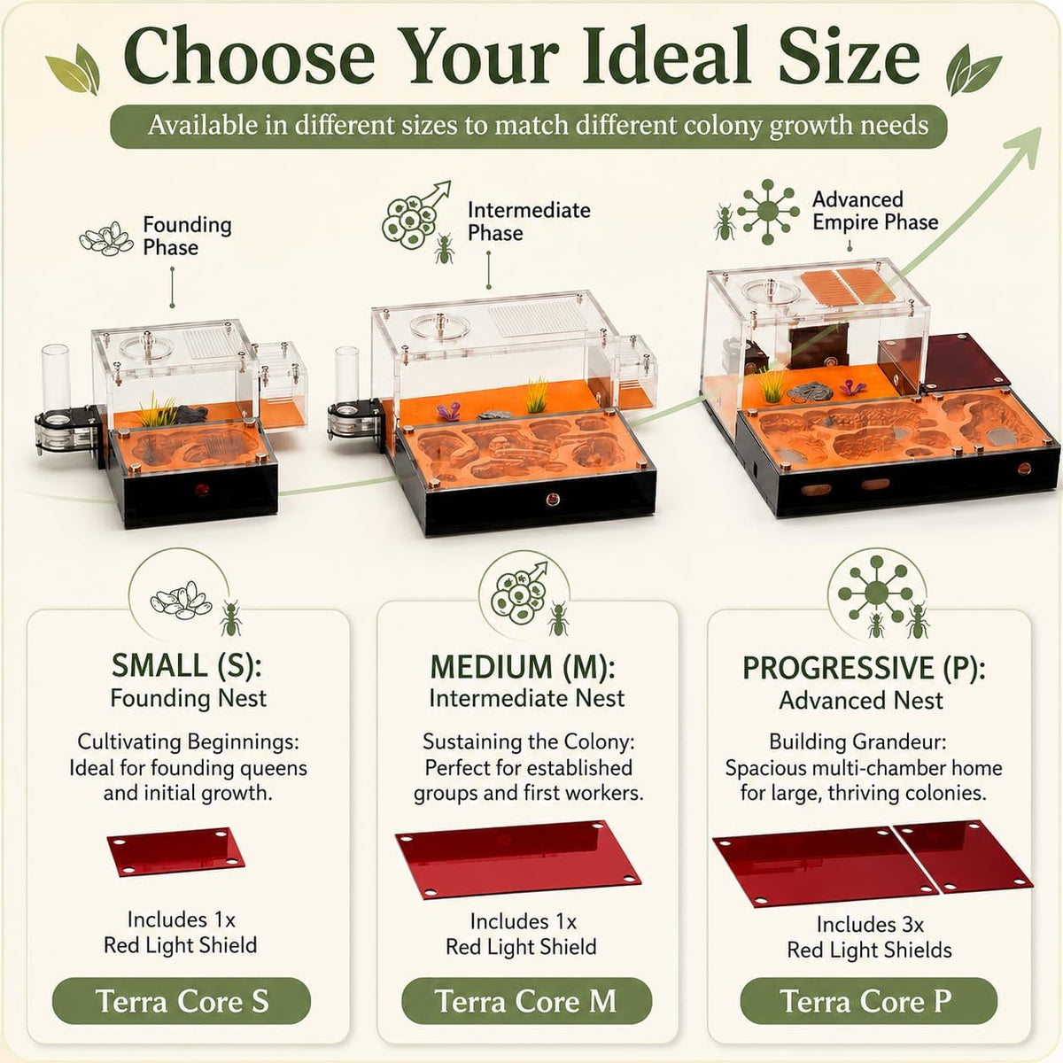 Terra Core M Ant Nest with Starter Kit 9 x 8 x 4.33 in