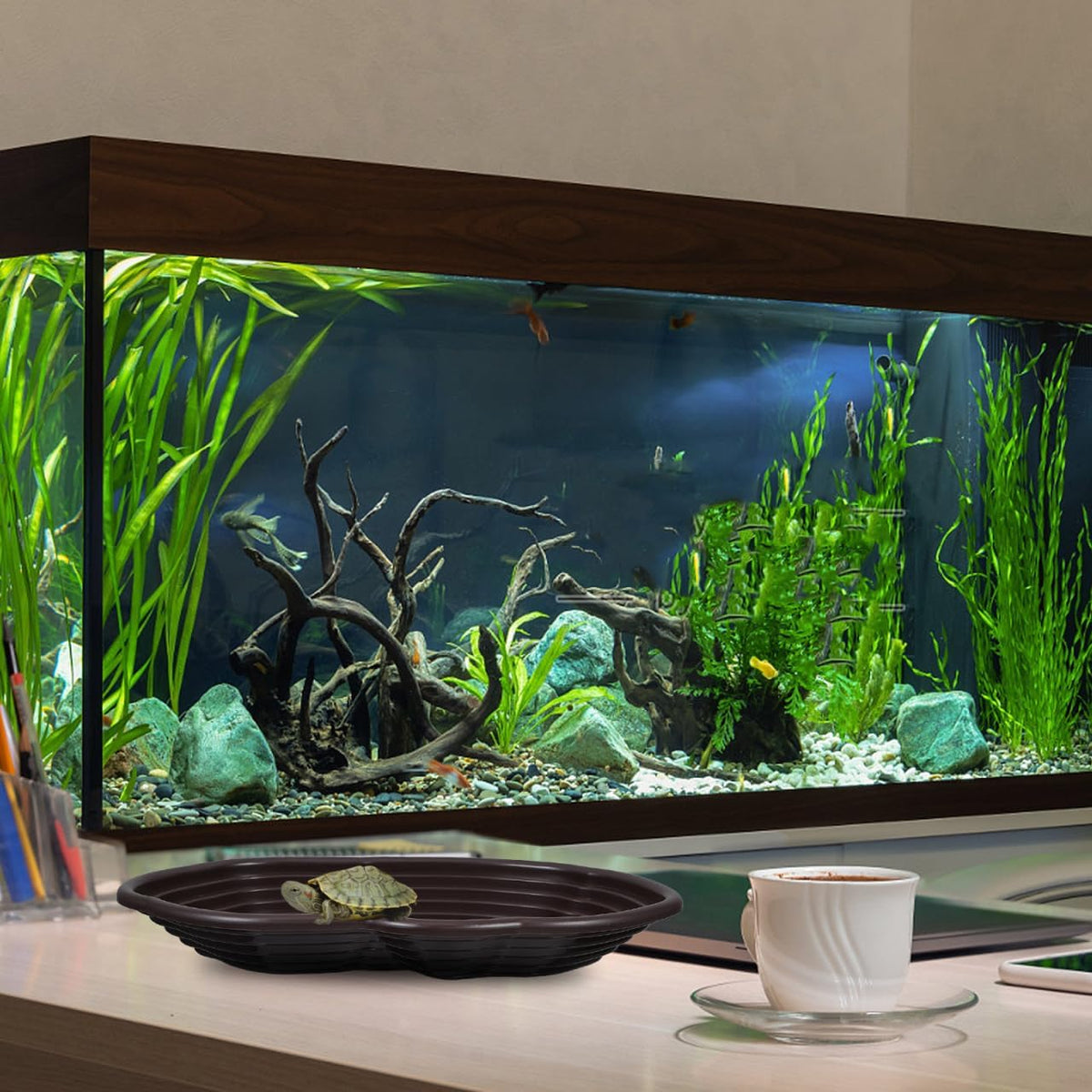 Kisangel Large Turtle Bathing Pool Coffee Color 15.35X10.43X1.77in Re