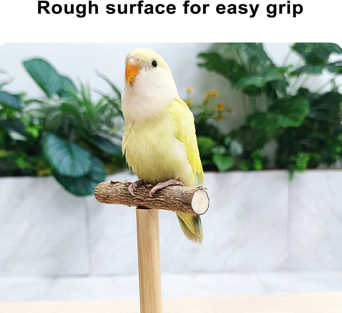 Bird Perch Stand Trainings, Prickly Ash Wood Parrot T Stand