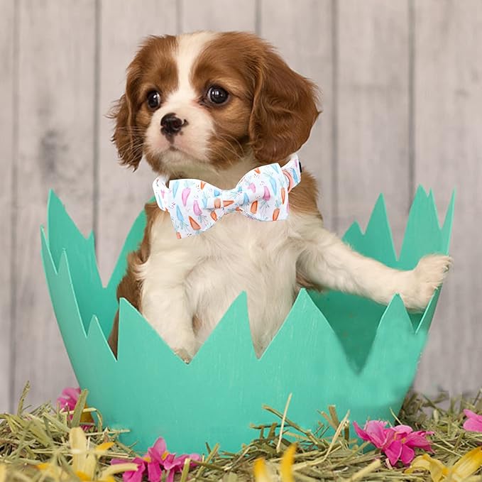 Lionheart glory Easter Dog Collar - Image 6