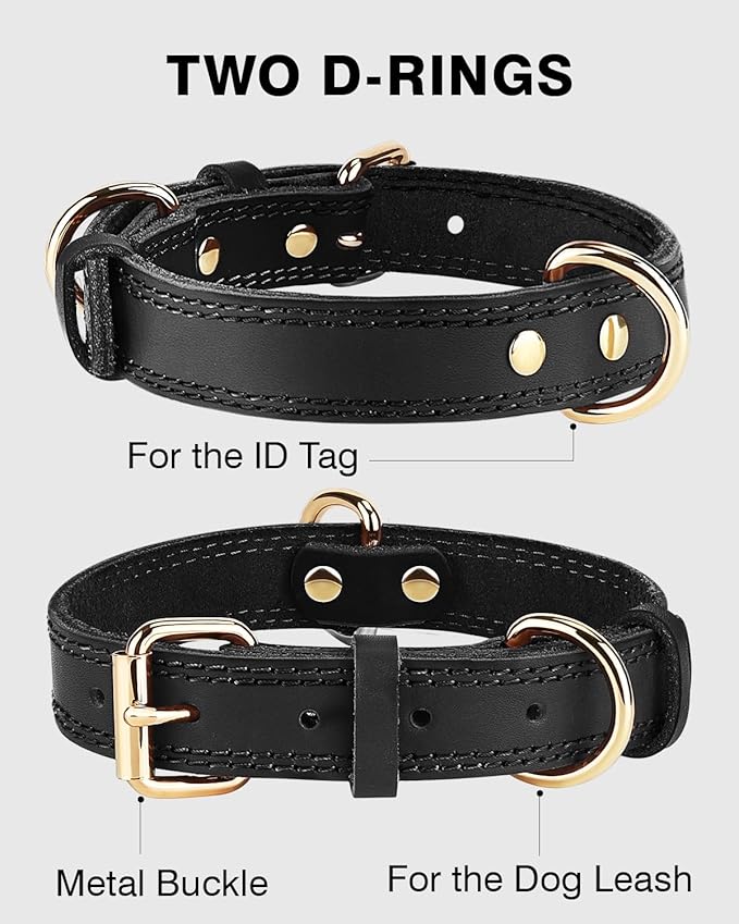Joytale Genuine Leather Dog Collar - Image 4
