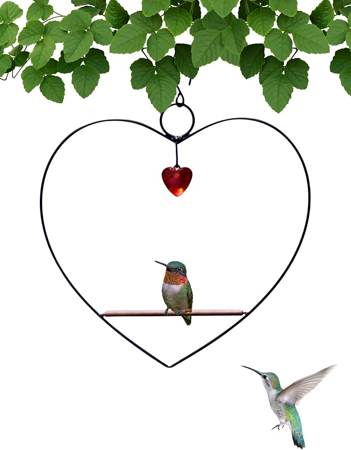 Songbird Essentials Hummingbird Swing by SongbirdEssentials