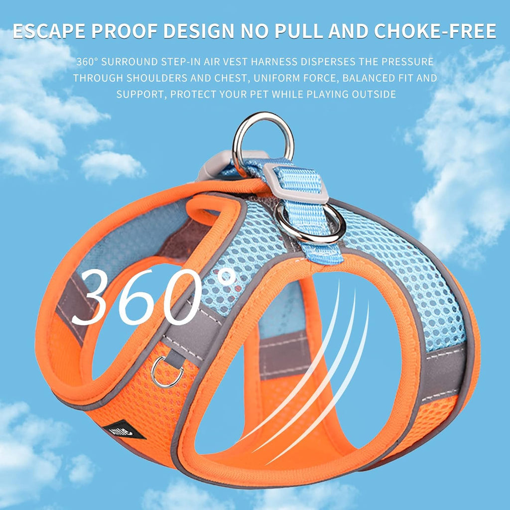 Medium Dog Harness and Leash Set, Step-in Puppy Pet Vest, Orange XL