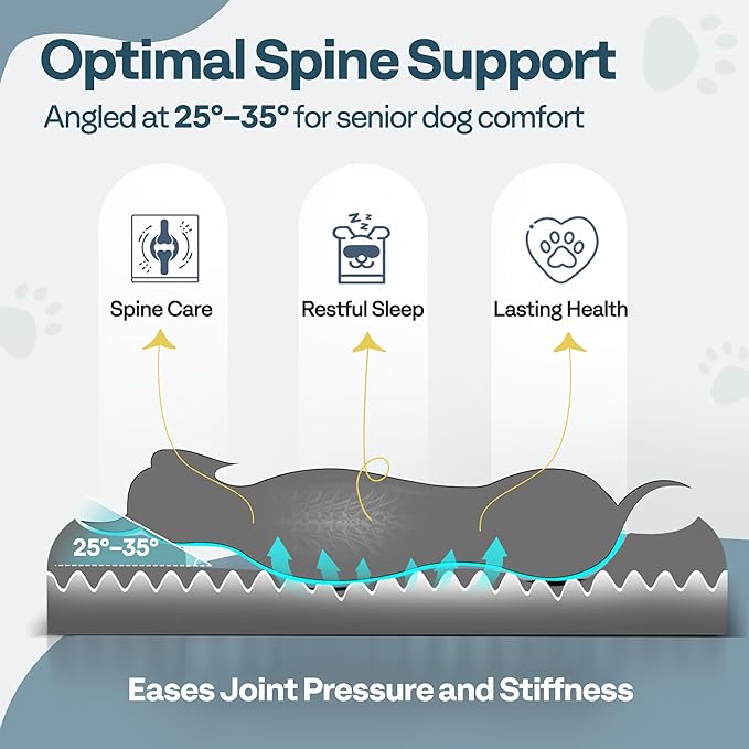Orthopedic Dog Bed for Extra Large Dogs - Image 4