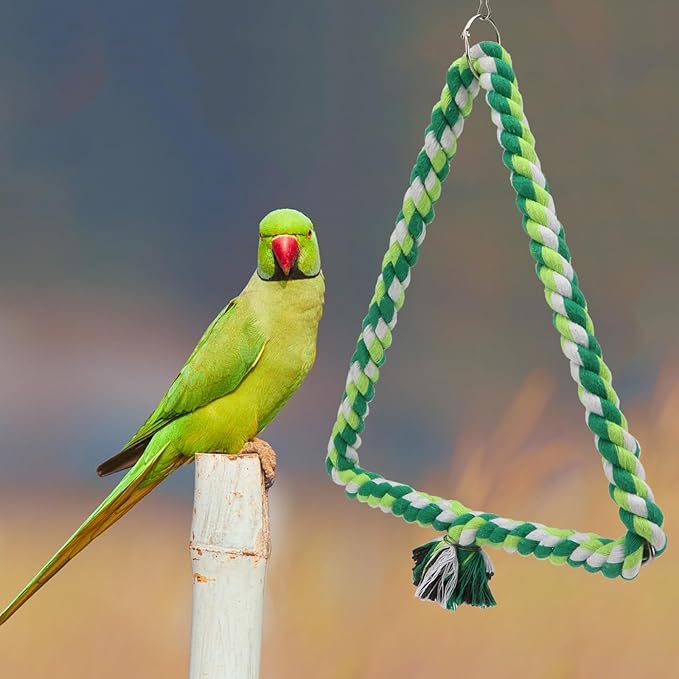 Wontee Bird Swing Bird Rope Perch Parrot Climbing Stand - Image 7