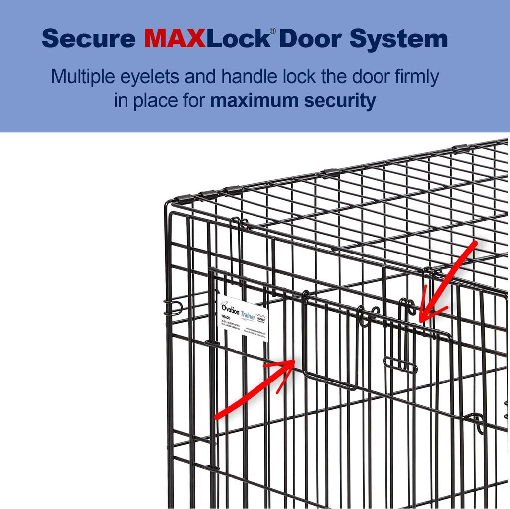 MidWest Homes for Pets Intermediate Ovation Double Door 36-inch Folding Metal Dog Crate, Front and Up & Away Side Doors, Space-Saving Design