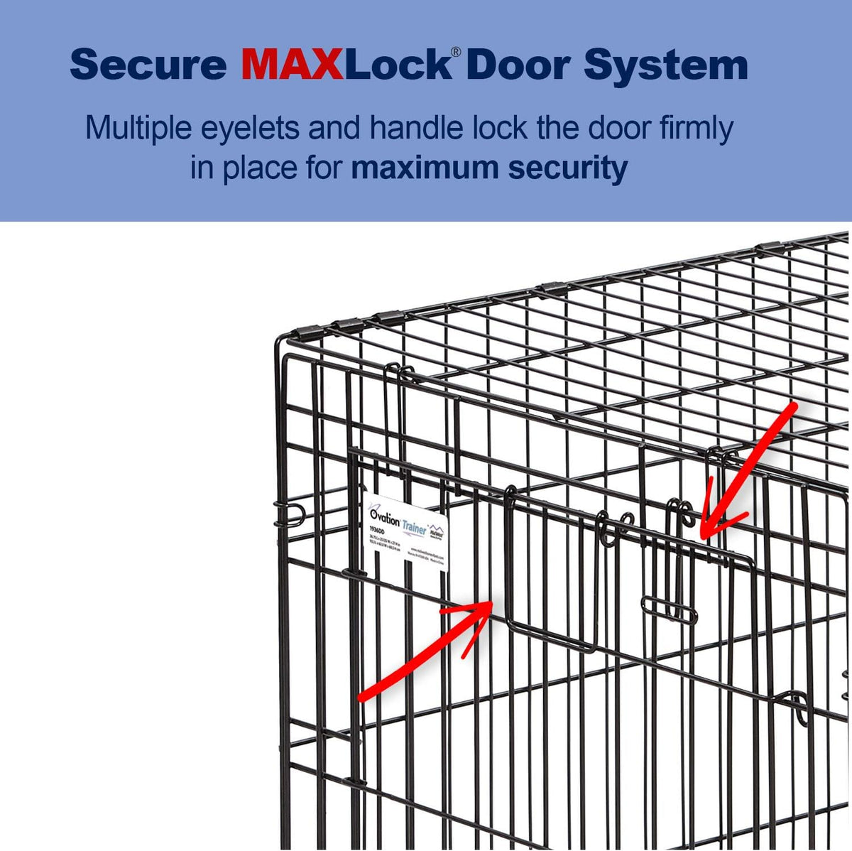 MidWest Homes for Pets Intermediate Ovation Double Door 36-inch Folding Metal Dog Crate, Front and Up & Away Side Doors, Space-Saving Design