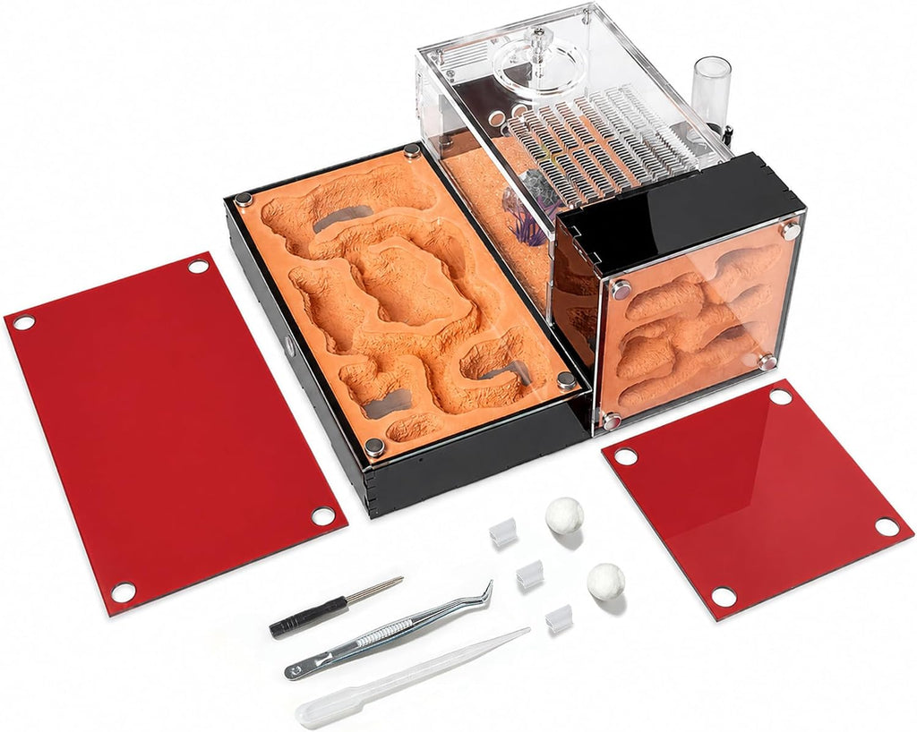 Ant Formicarium for Live Ants & Queen, Dual-Level Ant Nest