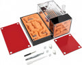 Ant Formicarium for Live Ants & Queen, Dual-Level Ant Nest