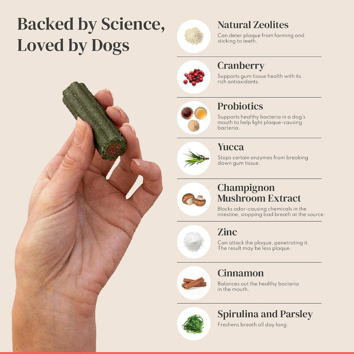 Dental Sticks for Dogs - Freshens Breath, Cleans Teeth, Helps Remove Plaque