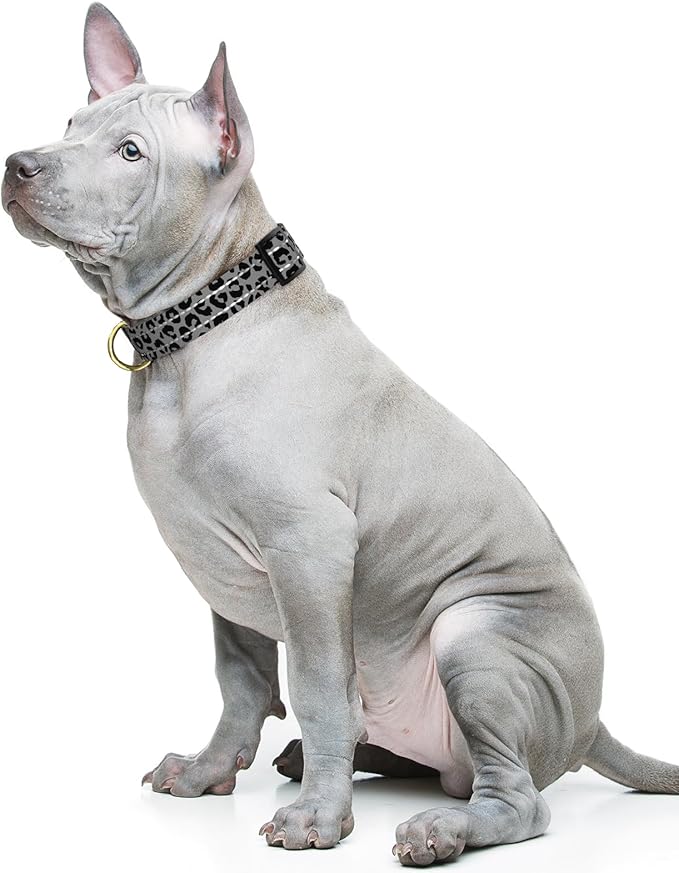 Reflective Dog Collar for Medium Dogs, Cute Leopard Style Adjustable Heavy-Duty - Image 2