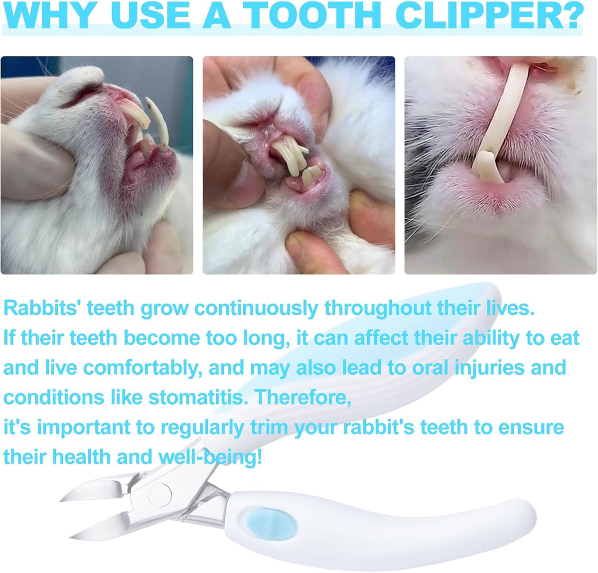 Rabbit Teeth Cutter,Premium Stainless Steel Bunny Tooth Nipper Teeth,5.3inch Tooth Cutter Scissor Sharp and Fast, Safe for Rabbits,for Guinea Pig Chinchilla Bunny Other Small Animals.(Blue)