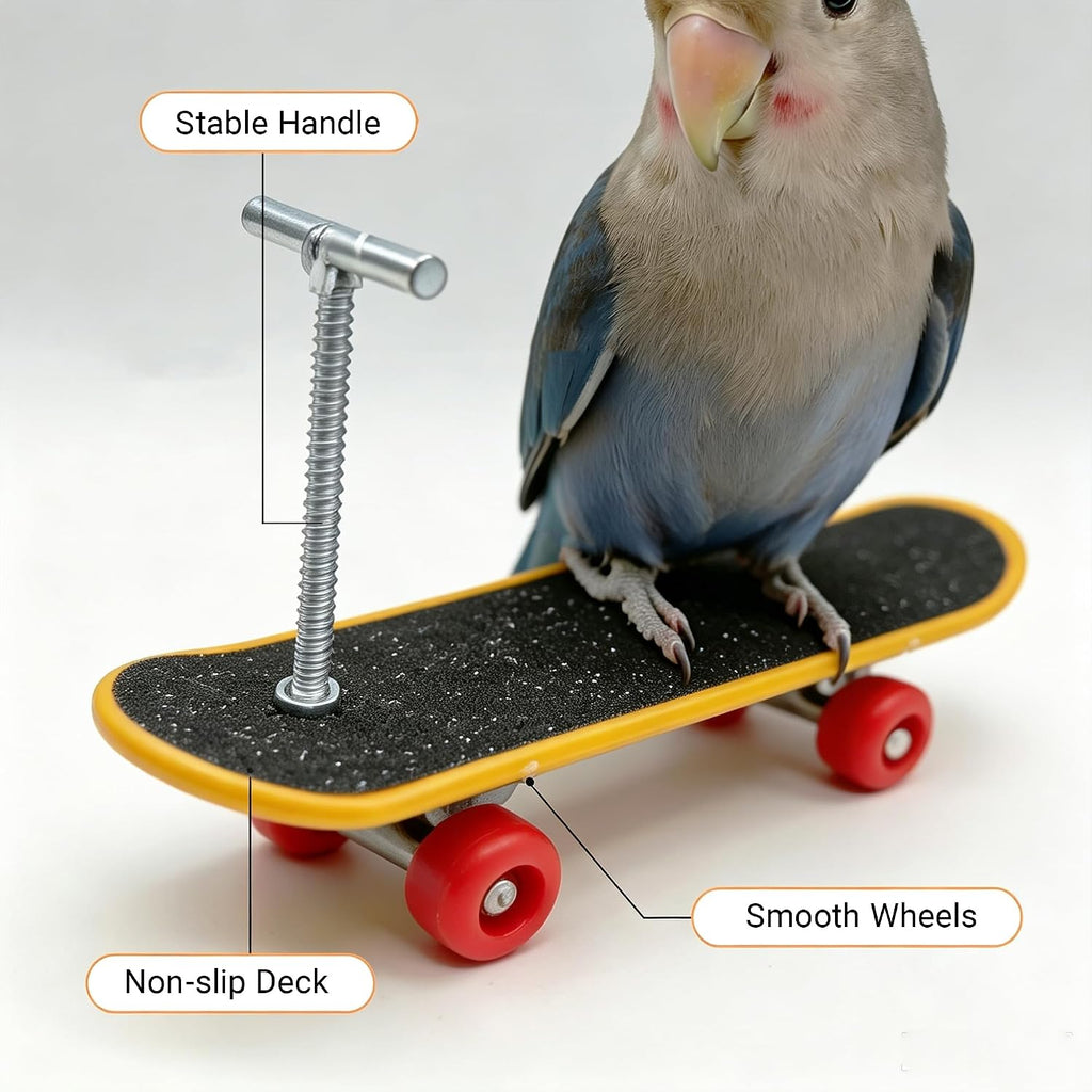 Parrot Training Toys Set 3 Pack Progressive Trick Skateboard Props