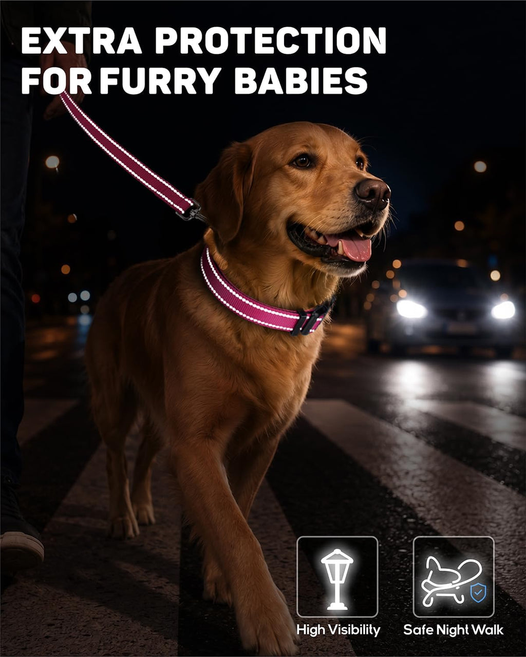 Padded Dog Collar with Waterproof Holder Compatible with Airtag