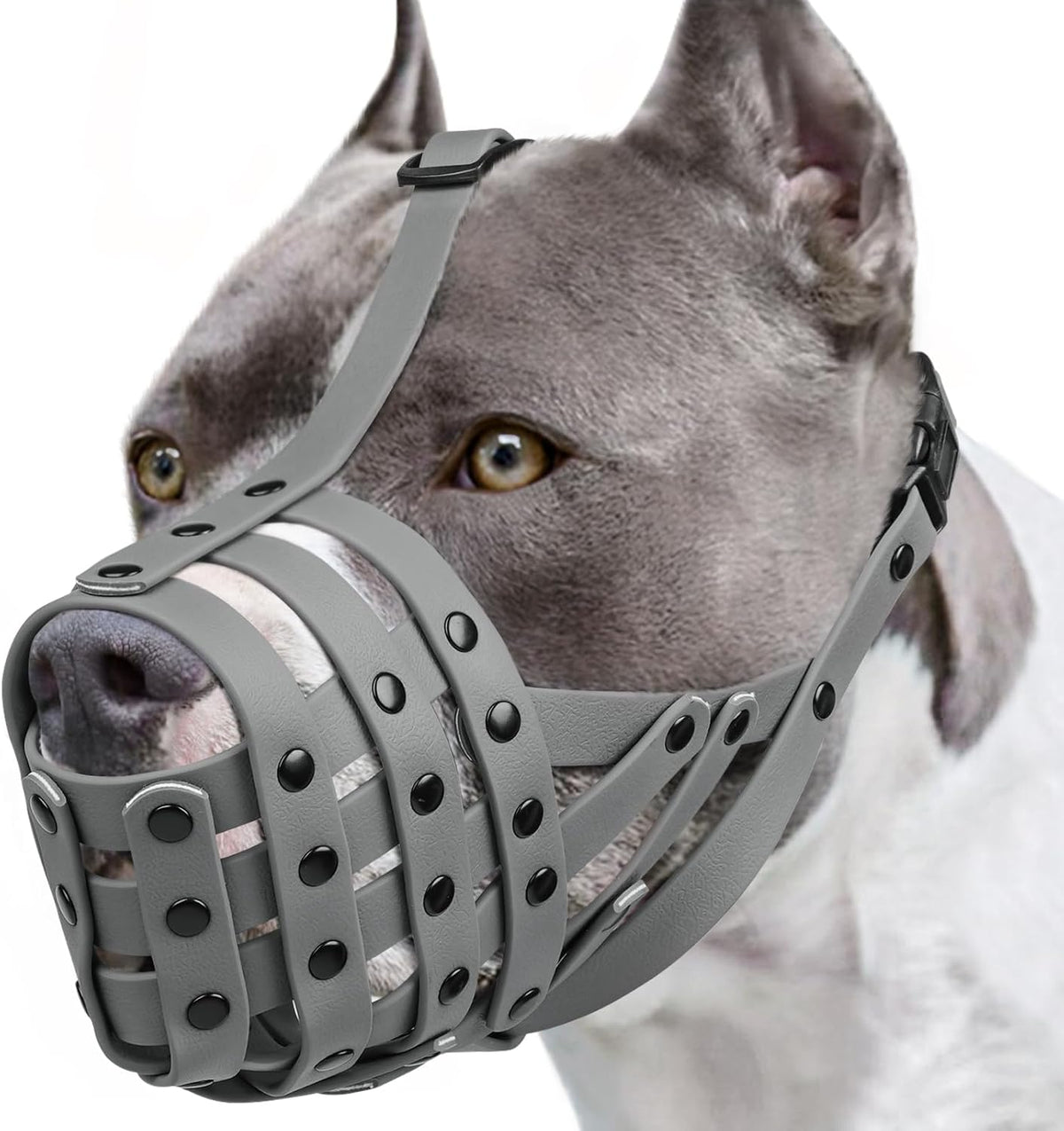 Mayerzon Pitbull Dog Muzzle for Large Medium Dogs Prevent Biting Scavenging