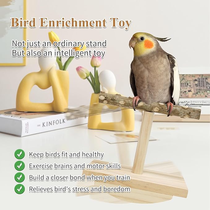 Natural Wood Bird Perch Stand, Rocking Perch - Image 5