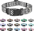 Mercano Adjustable Dog Collar by Unknown