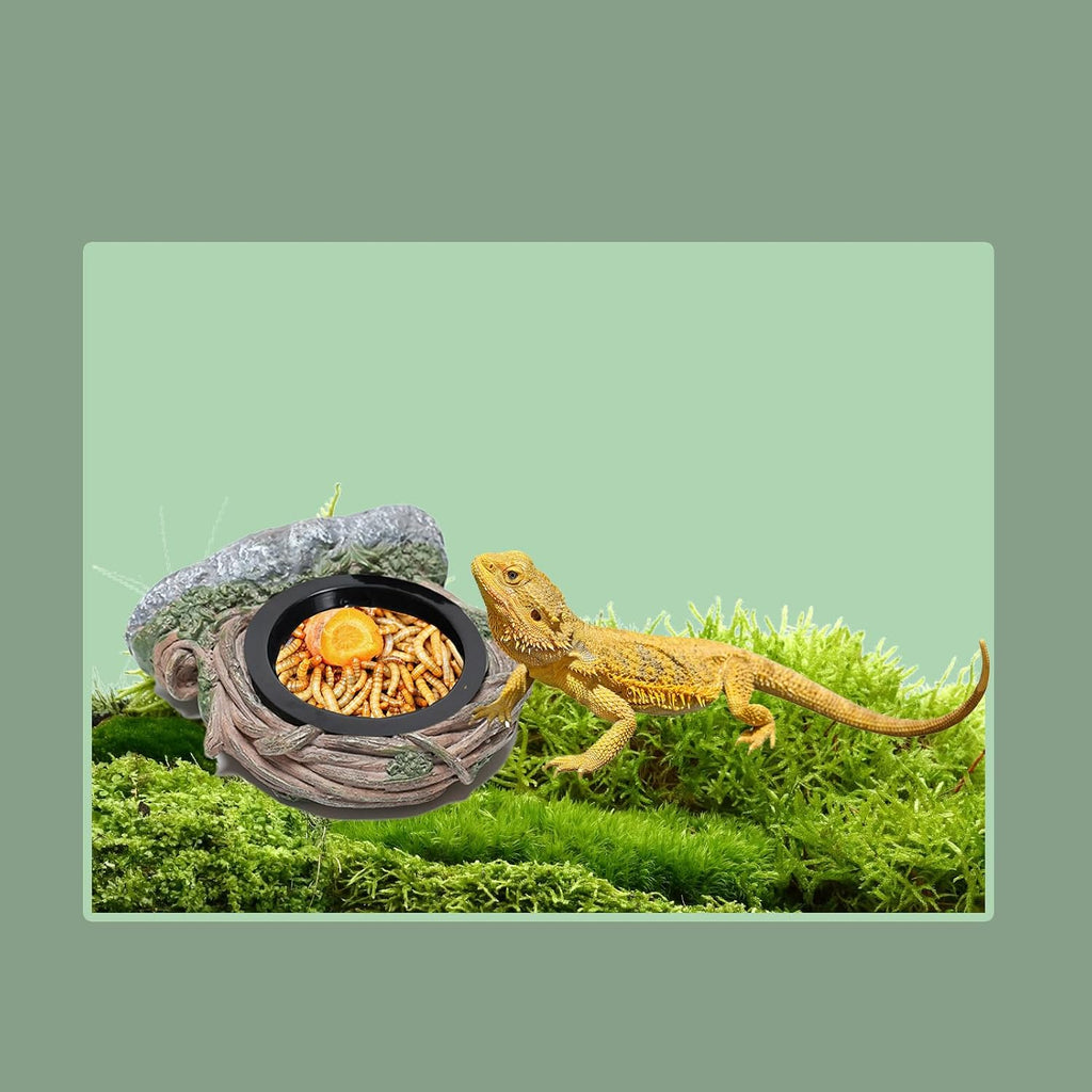 Reptile Feeding Ledge with 2 Cups, Hollow Vine Food Dish & Water Bowl for Bearded Dragon, Gecko, Lizard & Snake – Reptile Tank Accessories for Terrariums