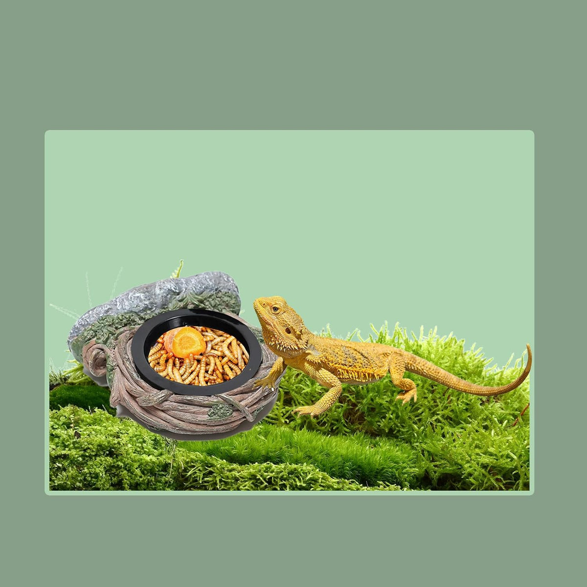 Reptile Feeding Ledge with 2 Cups, Hollow Vine Food Dish & Water Bowl for Bearded Dragon, Gecko, Lizard & Snake – Reptile Tank Accessories for Terrariums
