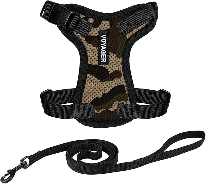Voyager Escape-Proof Step-in Lock Cat Harness & 5ft Neoprene-Handle Leash Set by BestPetSuppliesLLC