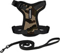Voyager Escape-Proof Step-in Lock Cat Harness & 5ft Neoprene-Handle Leash Set by BestPetSuppliesLLC
