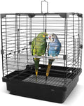Small Bird Cage for Parakeets, Budgies & Canaries and More Small Birds by COKUUCO