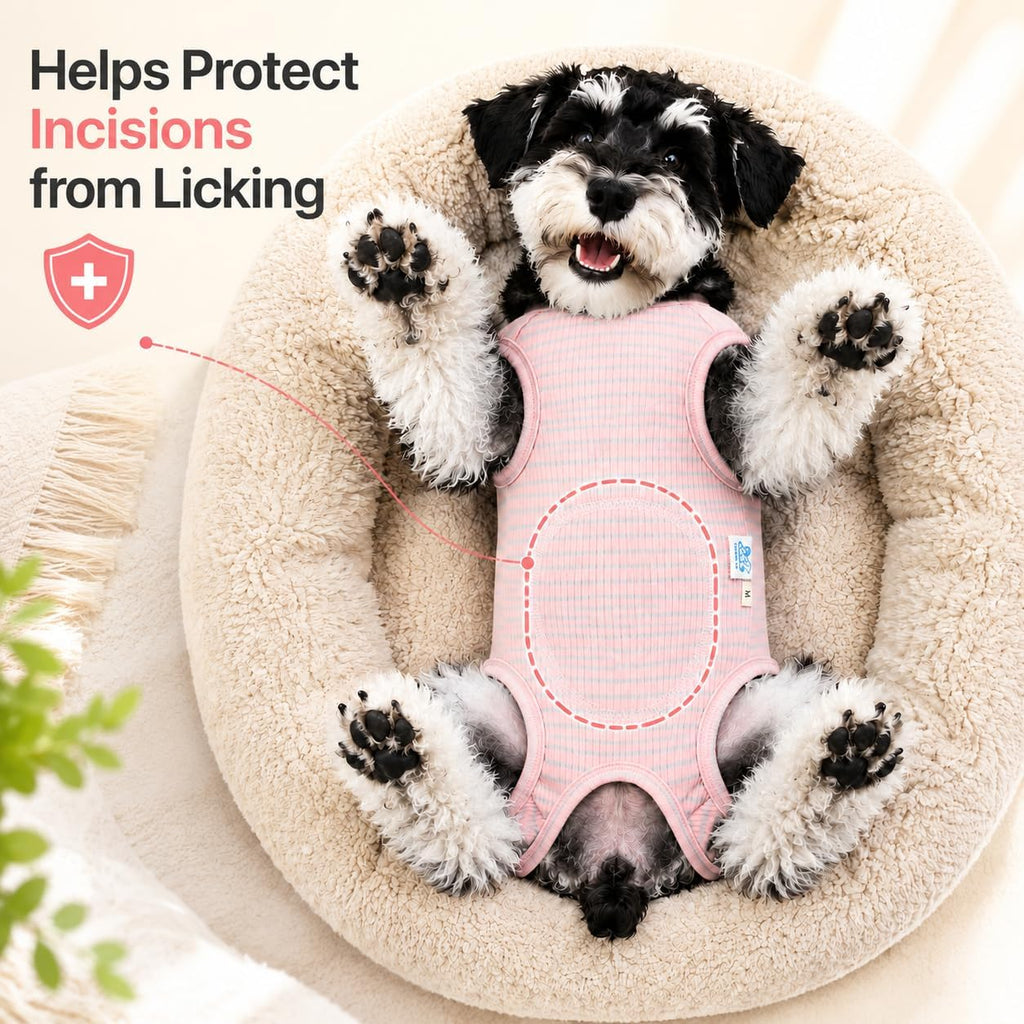Kukaster Dog Recovery Suit After Surgery, E-Collar Alternative, Pink/S