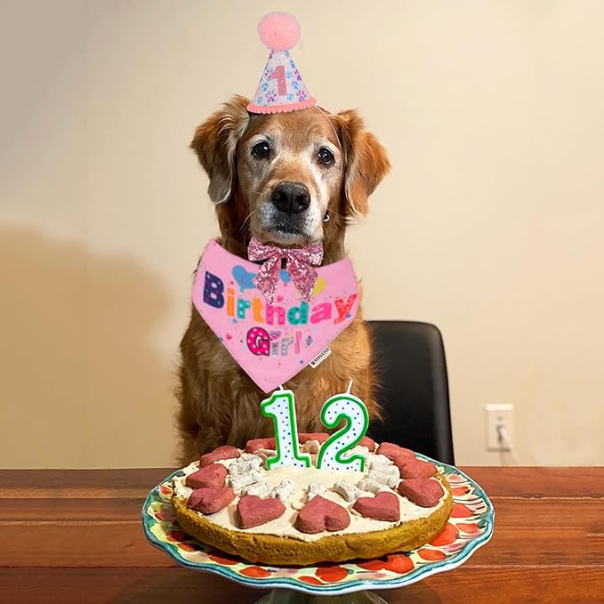 ADOGGYGO Dog Birthday Party Supplies - Image 2
