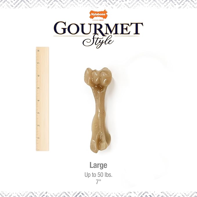 Nylabone Gourmet Style Femur Bone Strong Chew Toy - Image 5