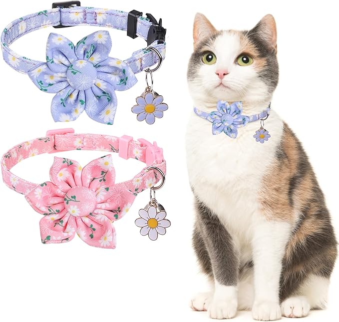 Breakaway Cat Collars for Girl Boy Cats, 2 Pack Cute Kitten Collar by DILLYBUD
