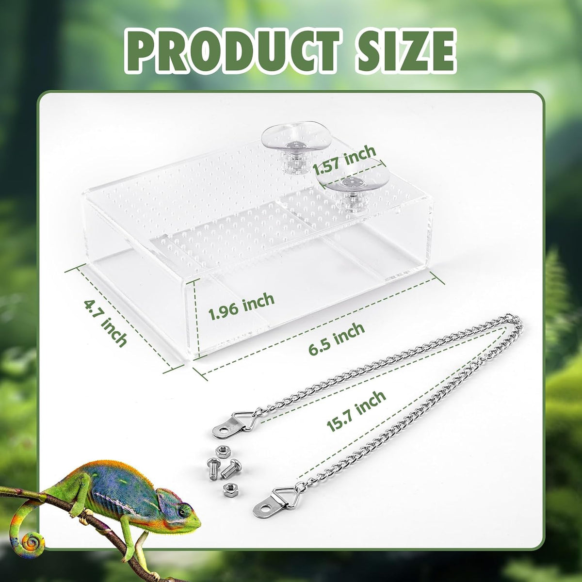 Chameleon Feeder Box with Suction Cups, Acrylic Feeding Bowl for Bearded Dragon, Wall-Mounted Insect Feeder for Lizard, Iguana, Gecko, Frog