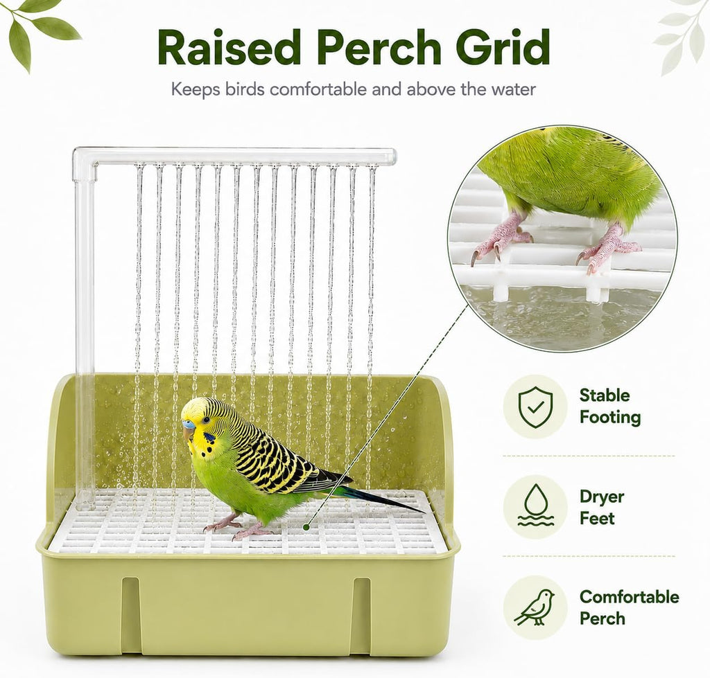 Automatic Bird Bath with Pump