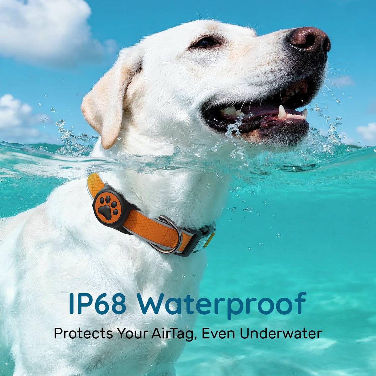 Reflective Dog Collar with Airtag Holder, IPX8 Waterproof Air Tag Dog Collar Holder | Ultra-Durable | Soft Padded | Safety Locking Buckle | Fit Small Dogs (OrangeXS(8"-12"))