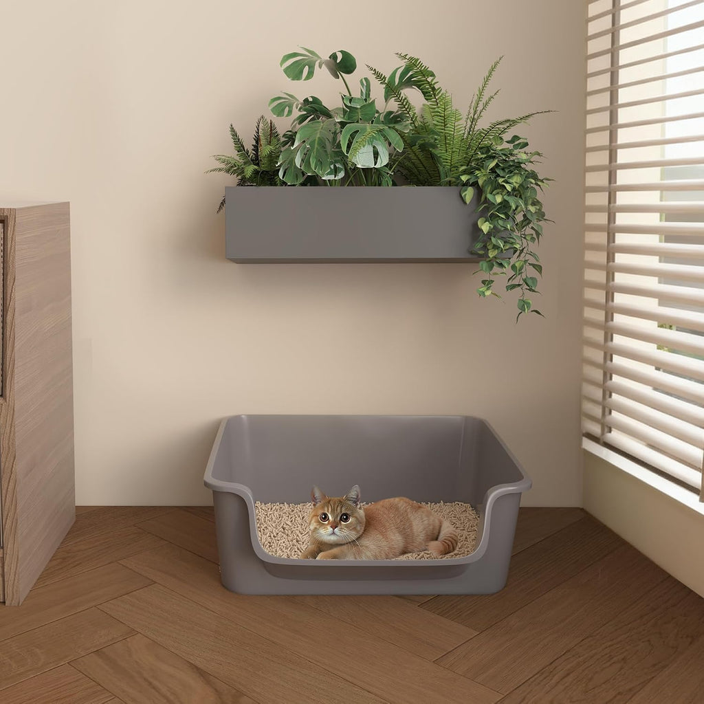 Open-Top Large High Sides Cat Litter Box with Low Entrance, Suitable for Small and Elderly Cats, Anti-Splash, 19.8” x15.6”x7.3” for Indoor Use (Grey（Moon Gray）)