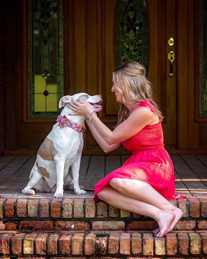 Lionheart Glory Dog Collar - Image 5