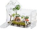 Magnetic Acrylic Terrarium for Jumping Spiders & Small Pets – Easy-Access Front Opening, Feeding Hole, Ideal for Reptiles, Tarantulas, Hermit Crabs & More