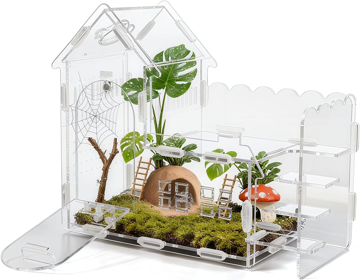 Magnetic Acrylic Terrarium for Jumping Spiders & Small Pets – Easy-Access Front Opening, Feeding Hole, Ideal for Reptiles, Tarantulas, Hermit Crabs & More