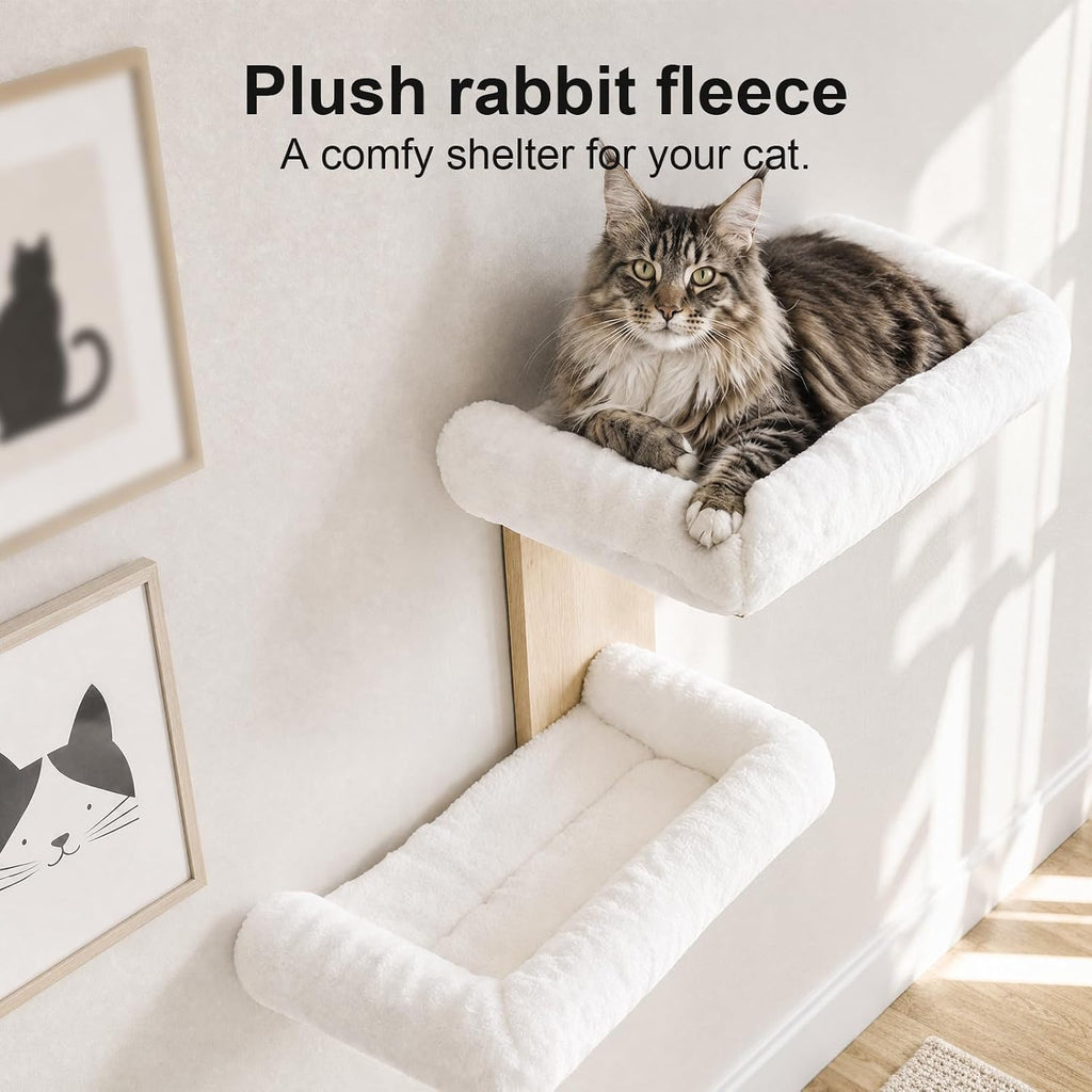Cat Wall Shelves, Floating Perch for Cats, Wall Mounted Cat Furniture