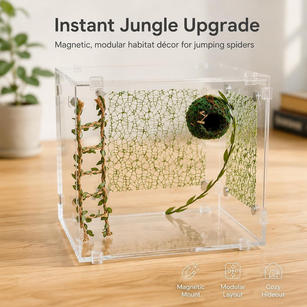 Magnetic Jumping Spider Enclosure Accessories