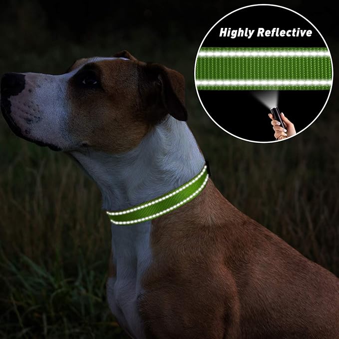 TagME Reflective Nylon Dog Collars, Adjustable Classic Collar - Image 5