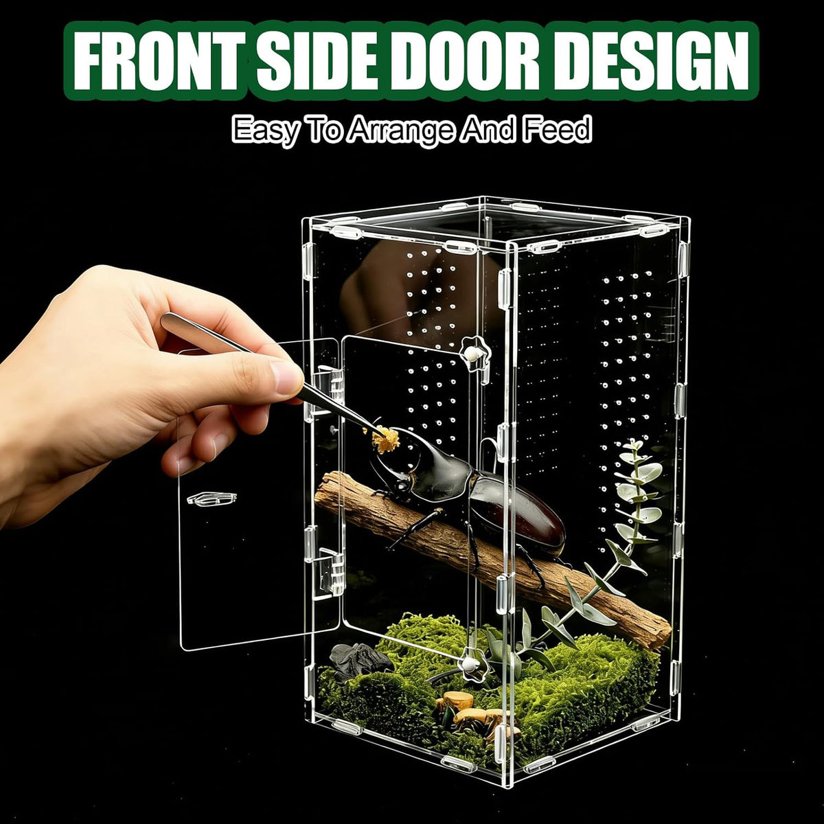 Tall Jumping Spider Enclosure, 6×6×11 in Front Opening Enclosure