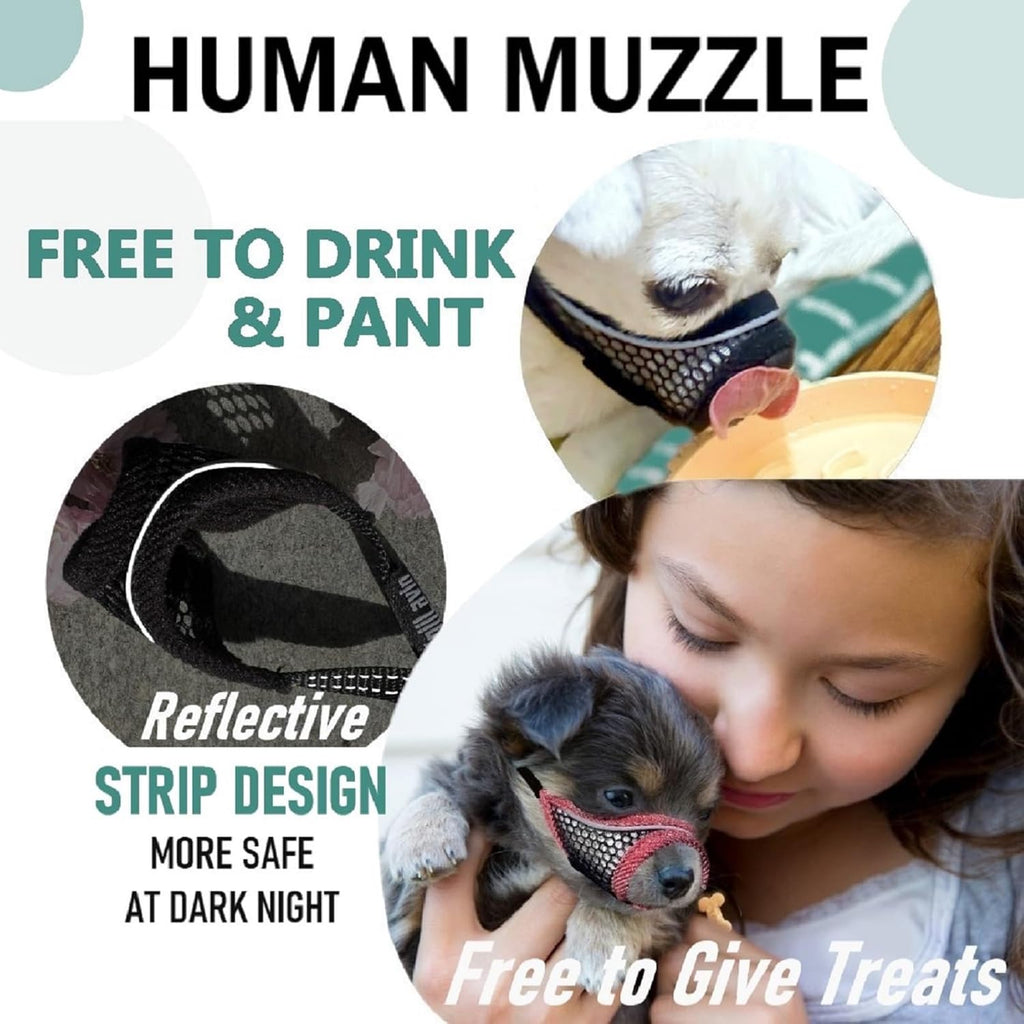 Dog Muzzle, Soft Mesh Muzzles for Small Medium Dogs for Barking Biting Grooming Vet Visits, Short Snout Puppy Mask Allows Drinking, Breathable Mouth Cover 10-20 lbs (Silver-Blue, S)
