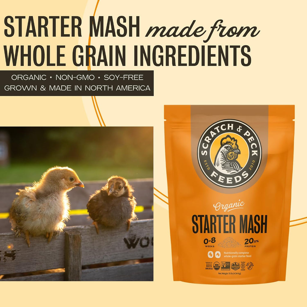 Scratch and Peck Feeds | Starter Mash for Chickens & Ducks | 10 lb Pouch