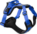 ShawnCo Basecamp Dog Harness, No-Pull Pet Vest (Electric Blue,S)