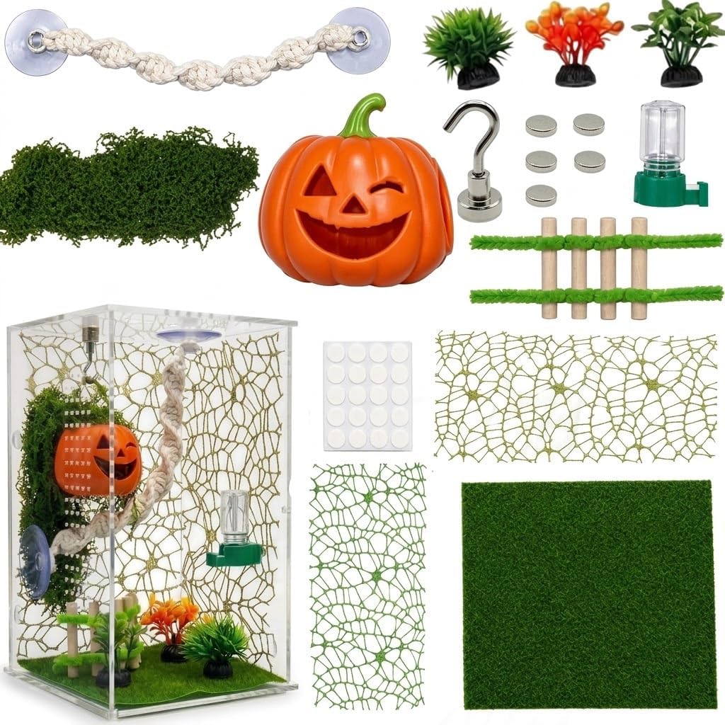 8-piece Jumping Spider Habitat Decoration Set, Pumpkin Hideout