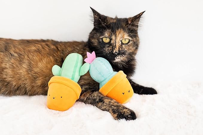 Pearhead Prickly Plants Cat Toy Set, Cute Catnip Toys, Plush Cactus Interactive - Image 5