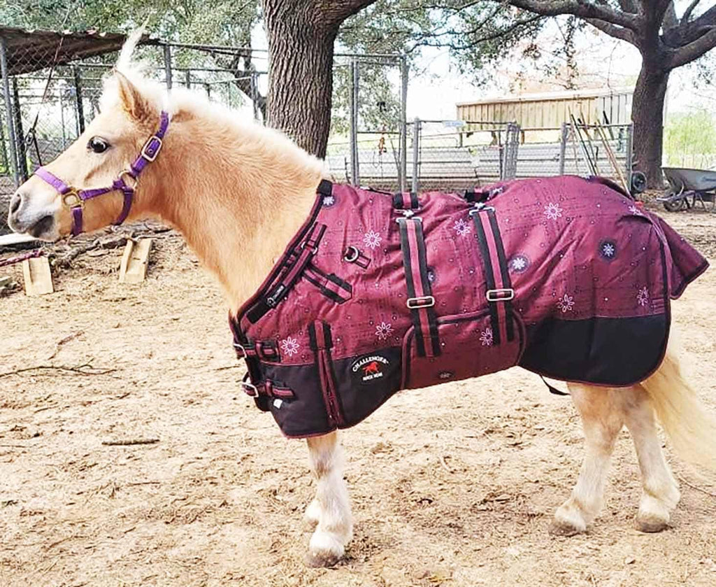 CHALLENGER 1200D Miniature Weanling Donkey Pony Horse Foal Winter Blanket